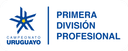 Primera División - Clausura logo