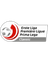 1. Liga Classic - Group 1 logo