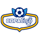 Copa de la División Profesional logo
