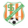 Samgurali club crest