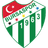 Bursaspor club crest