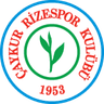 Rizespor club crest