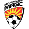 Broadmeadow Magic club crest