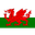 Wales U19 club crest