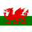 Wales U19 club crest