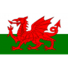 Wales U19 club crest