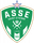 Saint Etienne club crest