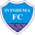 Ivinhema club crest