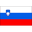Slovenia club crest
