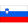 Slovenia club crest