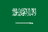 Saudi Arabia U23 club crest