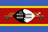 Eswatini U20 club crest