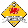 Llanuwchllyn club crest