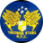 Treowen Stars club crest