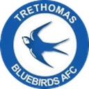 Trethomas Bluebirds club crest