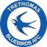 Trethomas Bluebirds club crest