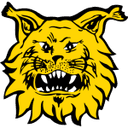Ilves club crest