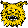 Ilves club crest