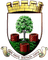 Wells City club crest