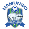 Namungo club crest