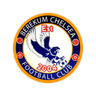 Berekum Chelsea club crest