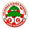 Eleven Wonders club crest