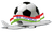 Parvoz club crest