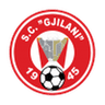 Gjilani club crest