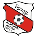 Hankofen-Hailing club crest