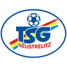 Neustrelitz club crest