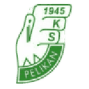 Pelikan Łowicz club crest