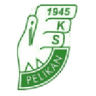 Pelikan Łowicz club crest
