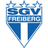 SGV Freiberg club crest