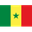 Senegal club crest