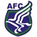 Artsul club crest