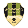 Meshakhte club crest