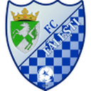Făleşti club crest