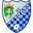 Făleşti club crest