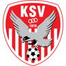 SV Kapfenberg club crest
