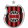 Brasil DE Pelotas club crest