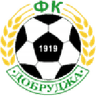 Dobrudzha club crest