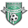 Dukagjini club crest