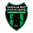 Monaro Panthers club crest