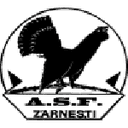 Olimpic Zărneşti club crest
