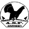 Olimpic Zărneşti club crest