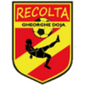 Recolta Gheorghe Doja club crest