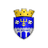 Edineţ club crest