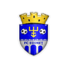 Edineţ club crest