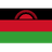 Malawi club crest