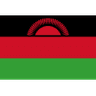 Malawi club crest